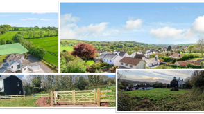 Plot with PP for sale in Chillington photo